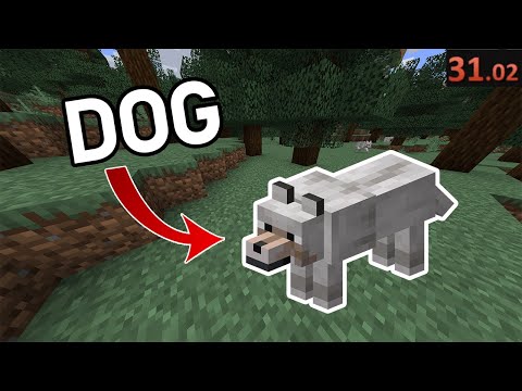 Minecraft Pet a Dog Speedrun World Record 31.02