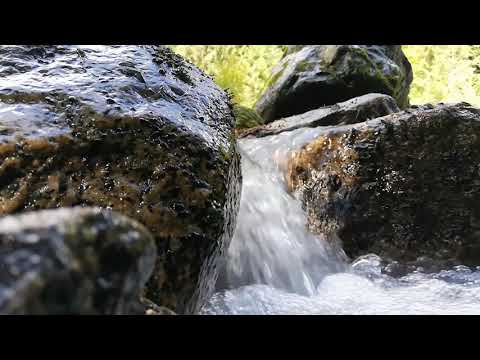 A GORGEOUS MOUNTAIN STREAM that will help you unwind after a hard day at work