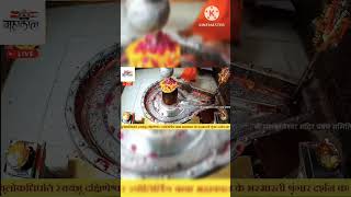 #darshan #shri_mahakaleshwar_jyotirlinga_ujjain #viral #sorts