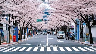 [洋楽playlist] リラックスできる音楽が疲れを溶かしてくれます 🌸 最高に気持ちいい、春の訪れを感じる曲集めました