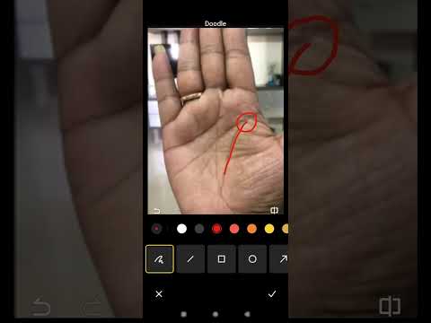 जीवन रेखा पर यव 10 वर्ष की आयु तक /#palmistry #shorts #shortsvideo