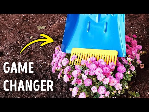 NEW Gardening Hacks You'll Wish You Knew Sooner