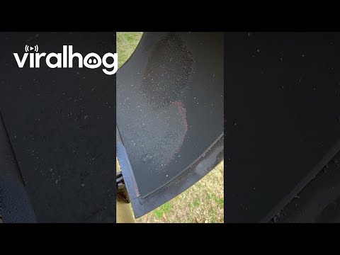 Carbon Buildup From Smoker Burns Off || ViralHog