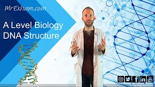 DNA Structure - A Level Biology