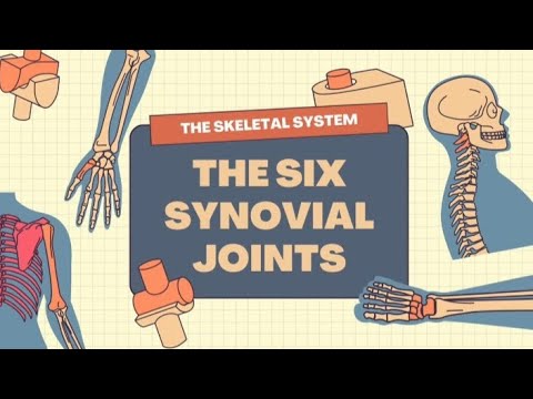 The six synovial joints|Human Physiology and Anatomy|Human Skeleton System|Science Educational video