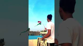 15 August Kite Flying 🪁[Makar Sankranti] #15august #basant #lohri #kiteflying #patangbazi #patang