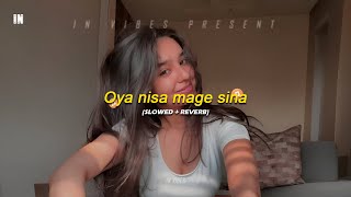 Oya Nisa Mage Sina | ඔයා නිසා මගේ සිනා  ( slowed + reverb ) | @in_vibes1