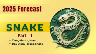 2025 Snake Zodiac Sign Part 1 || Monthwise Forecast || Wood Snake Year || Alan Stirling