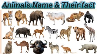 Wild Animal Names for Kids । Animals Name