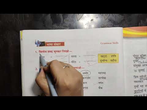 फलों की सभा | Ankur Hindi Pathmala Class 2 Chapter 7 Question Answer | Hindi Pathmala With Mamta