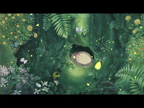 Best Relaxing Piano Studio Ghibli Complete Collection 🎵 Relaxing Music,Deep Sleeping Music