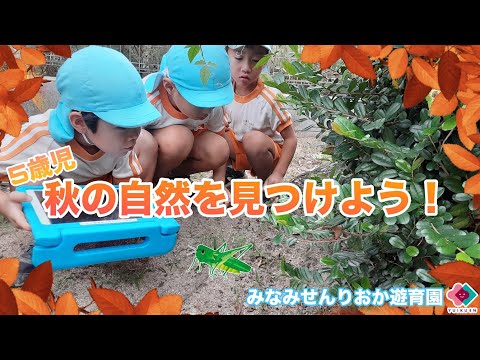 【５歳児】秋の自然を見つけよう！