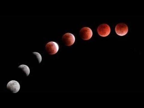 Blood Worm Moon Eclipse - A tarot reading