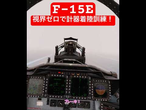 【着陸トレ】ストライクイーグル後席の計器着陸 #dcs