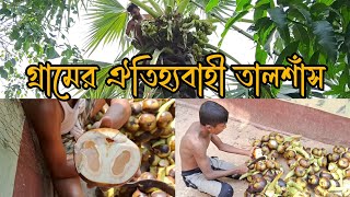 গ্রামের ঐতিহ্যবাহী খাবার তালশাঁস। The Traditional food of the Village is Palm.