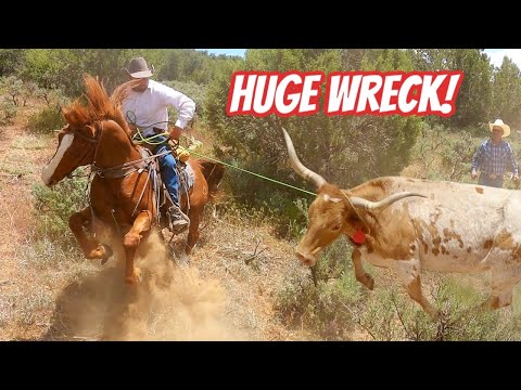 Cattle Drive Gone Wrong!