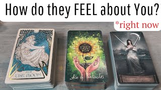 ❤️‍🔥🤔👀 How are they FEELING about YOU??!! DETAILED Pick A Card Love Tarot Reading  * Timeless