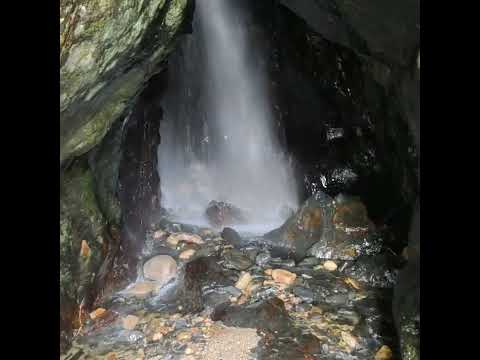 屋久島にて珍しい滝🍀