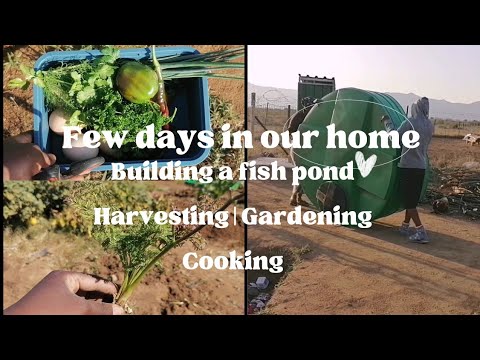 Building a different lifestyle in a village | Learning To Homestead on a stand in South Africa