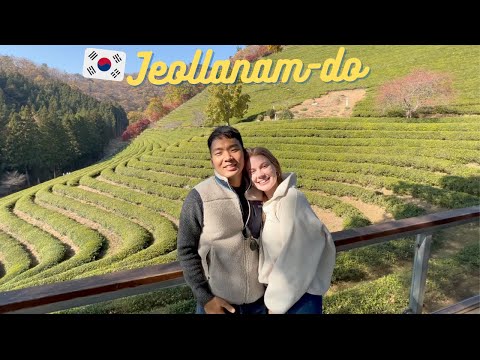 Korea Vlog: Visiting the BIGGEST tea field in Korea (한국어 자막)