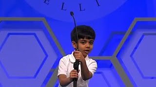 Adorable 6 Years old Akash | Scripps National Spelling Bee 2016 | Round 2