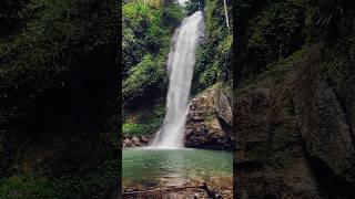 Nature’s raw power and beauty in one breathtaking moment! 🌊✨ #waterfallmagic  #chasingwaterfalls