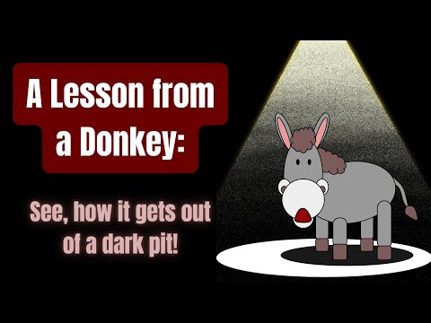 Story of a Donkey and a Farmer: Donkey Fall into the Well Story #moralstories #moralstory