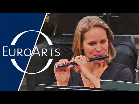 Grigoraș Dinicu - Hora Staccato | Berlin Philharmonic Orchestra (Waldbühne 2010)