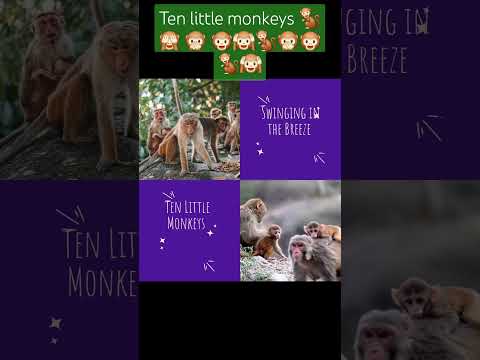 10 little monkeys swinging in the breeze @BoobaBukids #monkey #10million #ytshorts #shorts #song