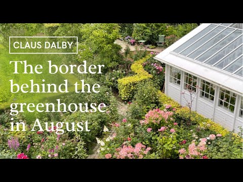 The border behind the greenhouse in August