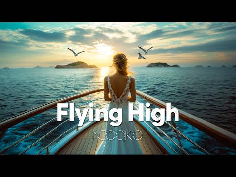 NICCKO - Flying High