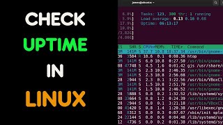 How  to check uptime on Linux