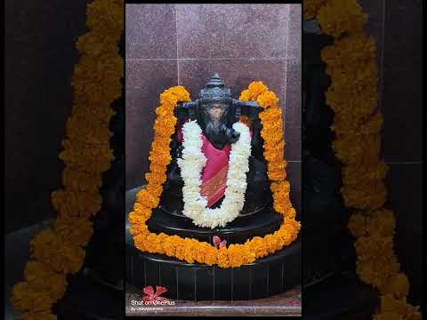 shri yogeshwari devi kulan sarvan goa #ambajogai #yogeshwari #darshan #viral #gondhal