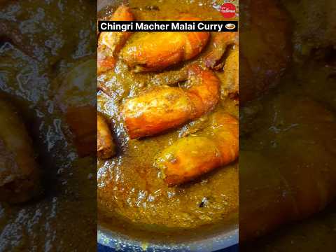 Chingri Macher Malai Curry 🍛👍🏻💕 #bengalirecipe #food #viral