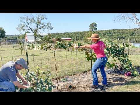 Keeping the Connection with REAL Food Alive!