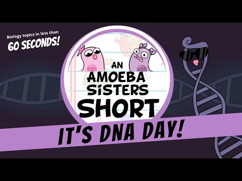 DNA Day 🧬 - Amoeba Sisters #Shorts #DNADay