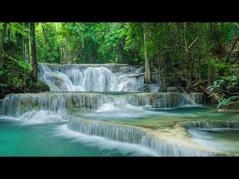 Relaxing Piano Music for Stress Relief, Calm Chords, Meditation, Peaceful Relaxation