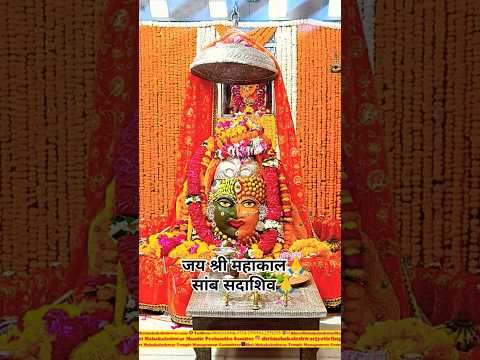 🙏🚩कालों के काल महाकाल उज्जैन🙏 #हरहरमहादेव #महाकाल #radhakrishna #shorts #youtubeshorts #reels