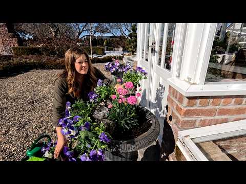 Donating a Succulent Arrangement, Spring Container Planting + Pruning Roses & Hydrangeas! 🥰🌸✂️