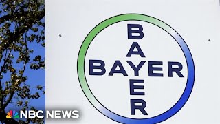 Arson investigation underway at home of Bayer executive