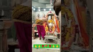 #shortvideo #live #mahakaal #ujjain #श्री_महाकालेश्वर_ज्योतिर्लिंग_उज्जैन #संध्या_आरती