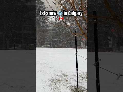 First snow ❄️ experience in Calgary 🇨🇦 #asmr #satisfying #snow