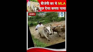 Deepraj | MLA |  Karsog |