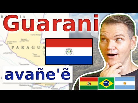 The Guarani Language