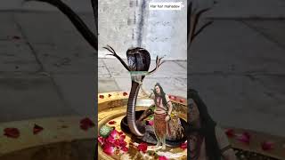 साक्षात्कार महादेव का दर्शन 🙏🙏#youtube #shortvideo #mahadev #mahadevstatus #harharmahadev