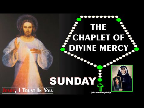 Divine Mercy Chaplet | February 2, 2025 | The Chaplet of Divine Mercy | Catholic Rosary Today Prayer