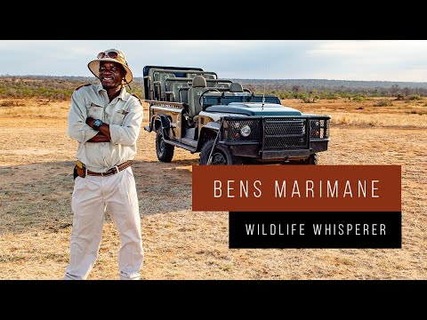 Meet South Africa with Bens Marimane, the "Wildlife Whisperer"