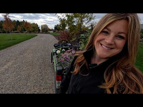 Planting a Bunch of Beauties: Lilacs, Sedum, Roses & a Butterfly Bush! 🌿💜🌸 // Garden Answer