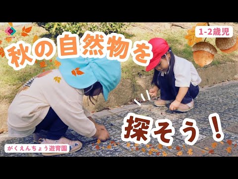 【1・2歳児】秋の自然物を探そう！