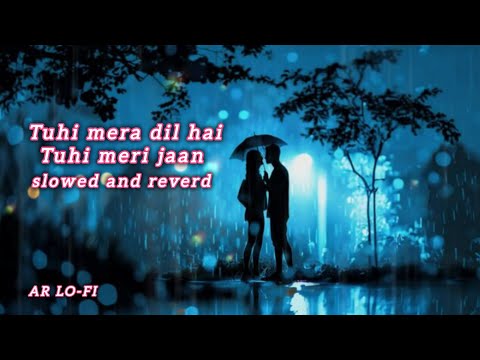 tuhi mera dil hai tuhi meri jaan slowed and reverb songs #lofi #slowedandreverb